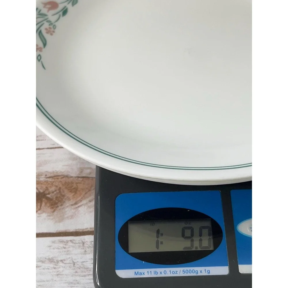 Corelle Preowned Dinner Plate White Rosemarie‎ Floral Pink Green 10.25